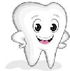 Studium Techniki Dentystycznej poszukuję Edukacja, Nauczyciele