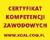 Kurs Lublin Certyfikat Kompetencji Zawodowych Przewoźnika Drogowego Zdjęcie
