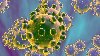 Ozonowanie - dezynfekcja ozonem - zwalczamy wirusy i bakterie Zdjęcie