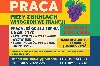 WINOBRANIE FRANCJA Zdjęcie